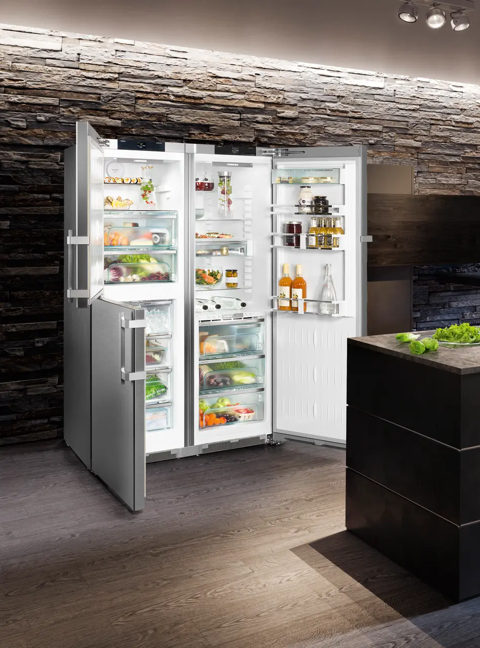 フリーザ リミテッド SBSes 8484 PremiumPlus BioFresh NoFrost Side-by-Side combination